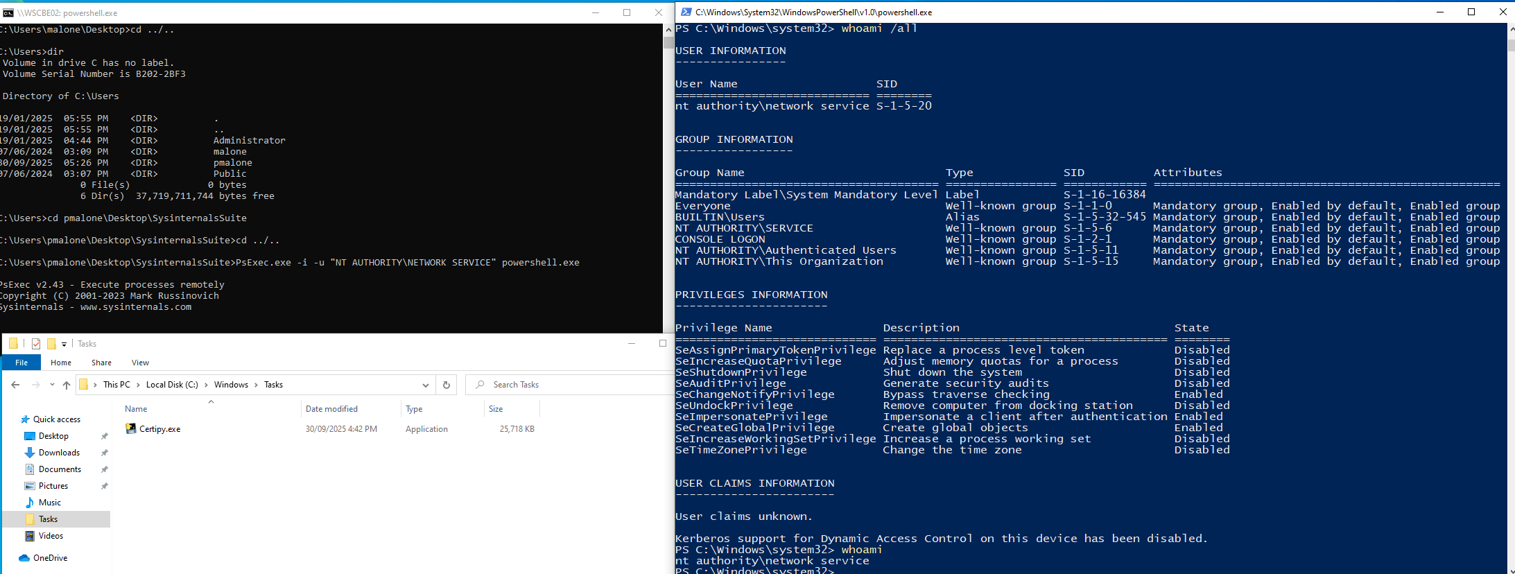 Shell spawned as Network Service